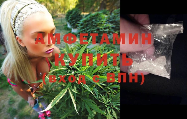 spice Гусев