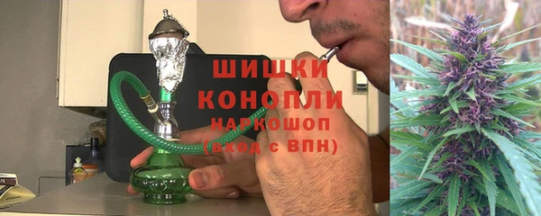 spice Гусев