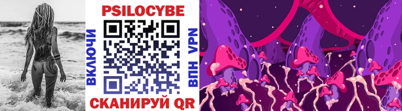 блэк спрут сайт Джанкой Галлюциногенные грибы Magic Shrooms